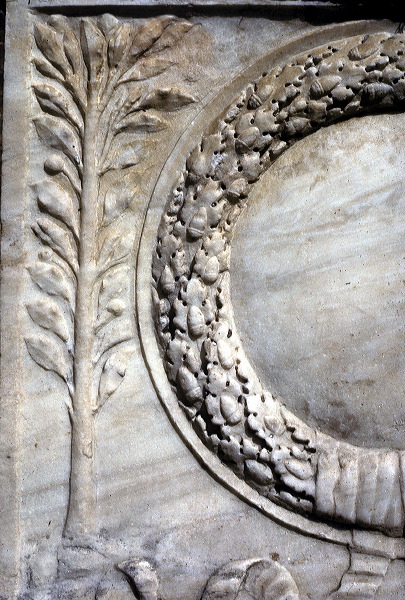 b02.jpg