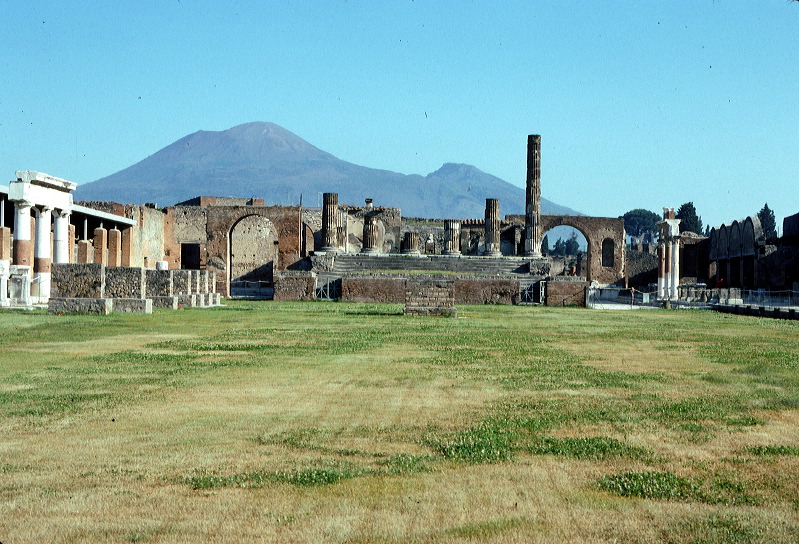 d01.jpg
