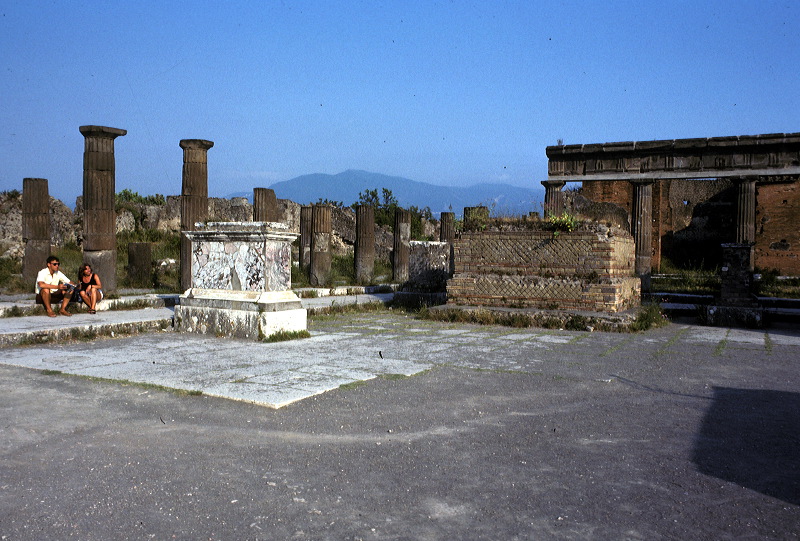 d06.jpg